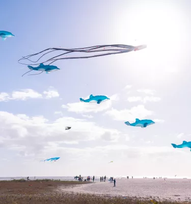 Many people flying kites on Treasure Island Beach's kite festival