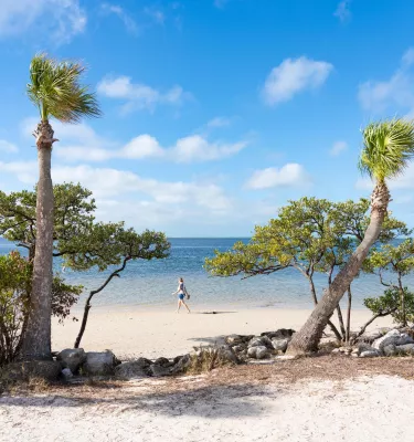 palm trees and other trees and rocks line a white sand beach as a woman walks in the water at Sunset Beach on Treasure Island