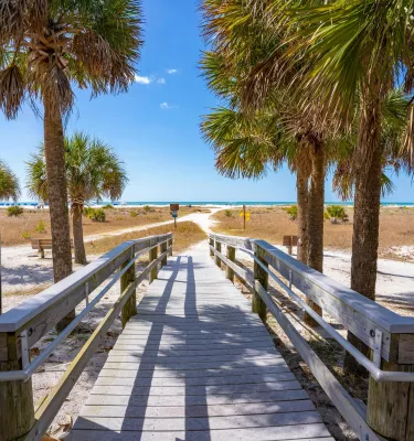 A wooden boardwalk leads past palm trees to the beach.