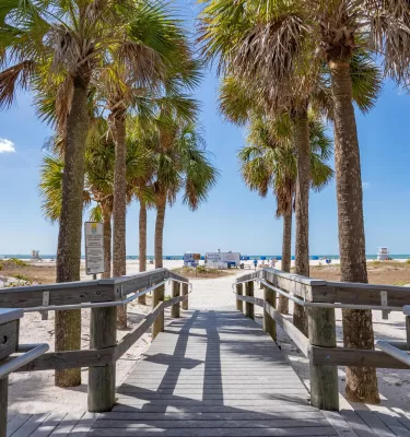 A palm-lined boardwalk leads to a white-sand beach