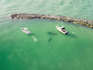 Two boats near the rocks off Sand Key. Three manatees can be seen swimming between the boats.