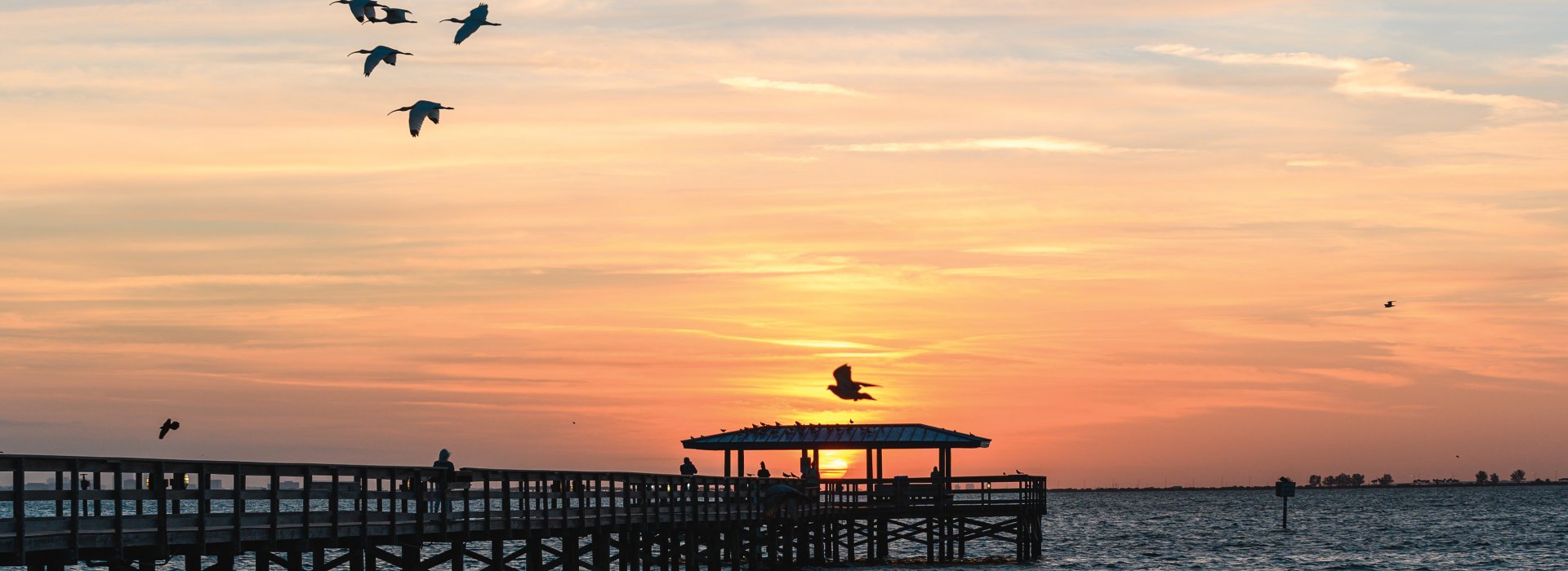 Birds fly over the Safety Harbor Pier at sunset