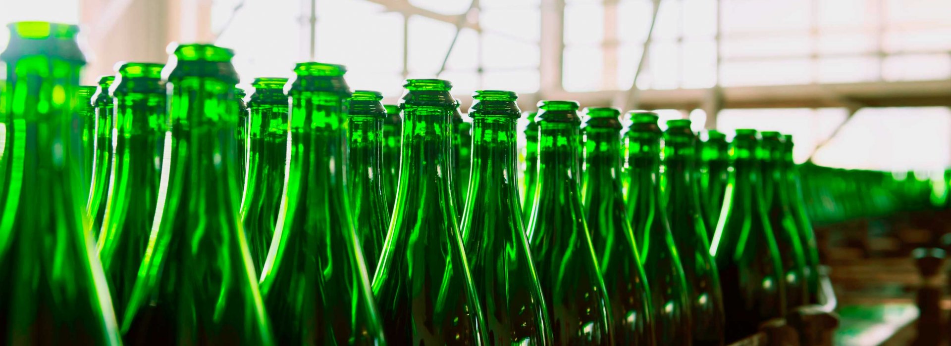 Several green beer glasses in line to be filled up in a brewery.