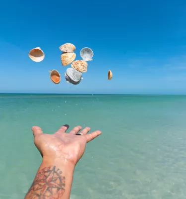 A man throwing shells in the air in beautiful blue-green waters of Shell Key Preserve, accessible only by boath