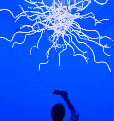 A visitor photographs one of Chihuly's glass sculpture - this one is white, unusual for Chihuly.
