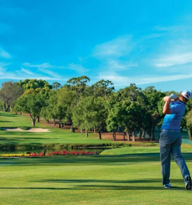 a golfer tees off at Innisbrook Resort in Palm Harbor
