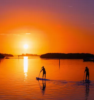 Two people paddleboard in the quiet backwaters of Sutherland Bayou in Palm Harbor; the sunset is a brilliant orange and small mangrove islands are in front of the people