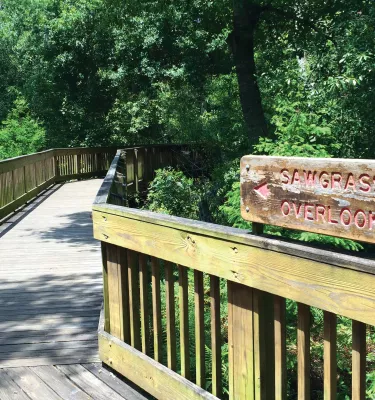 Sawgrass Lake Park boardwalk entrance and sign, surrounded by nature