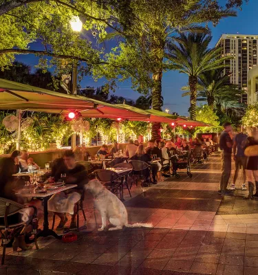 A couple outdoor dining in the evening with there dog sitting at the table patiently.