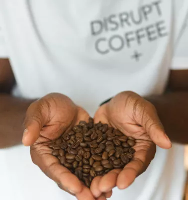 hands hold up freshly roasted coffee beans from Hogg Batch Coffee