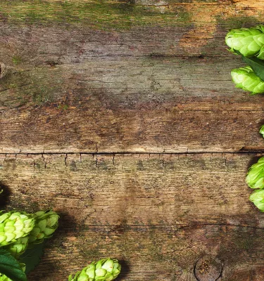 Green hops on top of a rough wooden surface.