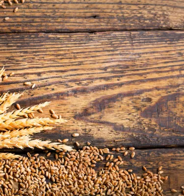Wheat leaf and grains on top of a wooden surface.