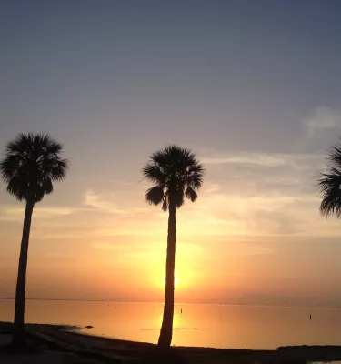 three tall palm trees on the sand with a beautiful yellow and orange sunrise at North Shore Park in St. Pete