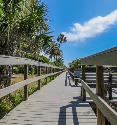 a long wooden boardwalk next to palm trees leads to Sunset Beach on Treasure Island