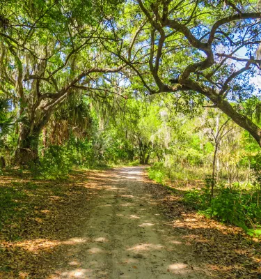 A tree shaded path at Boyd Hill Nature Preserve.