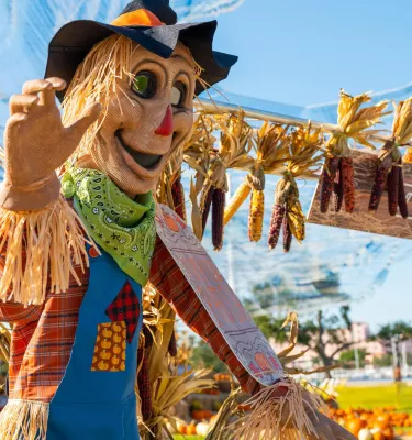 Scarecrow waving during St. Pete Pier pumpkin patch