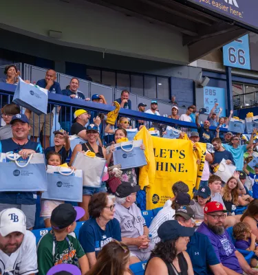 fans at a baseball game