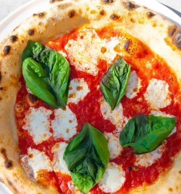 Small pizza with tomato sauce, cheese and fresh basil