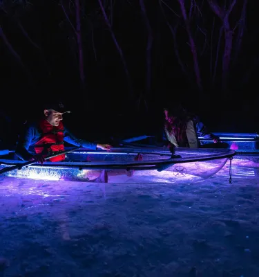 two people in clear kayaks with lights paddle near mangroves at night