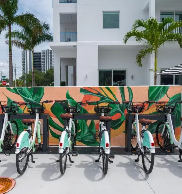 bike share bicycles parked in front of a small tropical mural