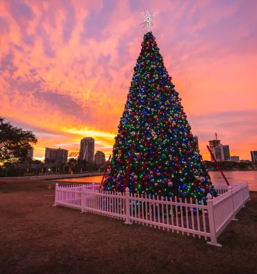 christmas tree