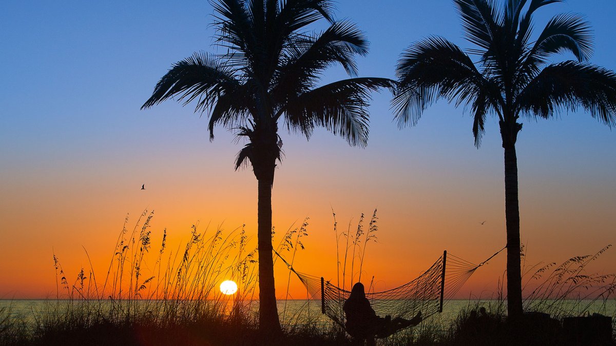 A lady in a hammock between two pine trees enjoying the sunset in Madeira Beach