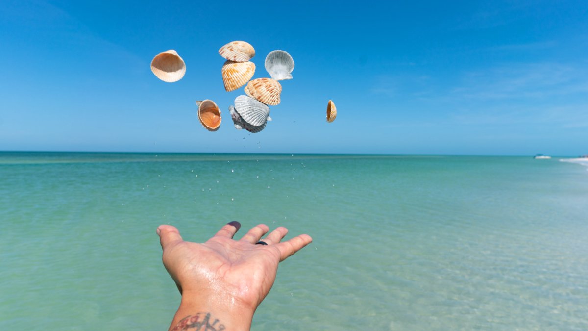 Um homem jogando conchas no ar nas belas águas azul-esverdeadas da Shell Key Preserve, acessível apenas por barco