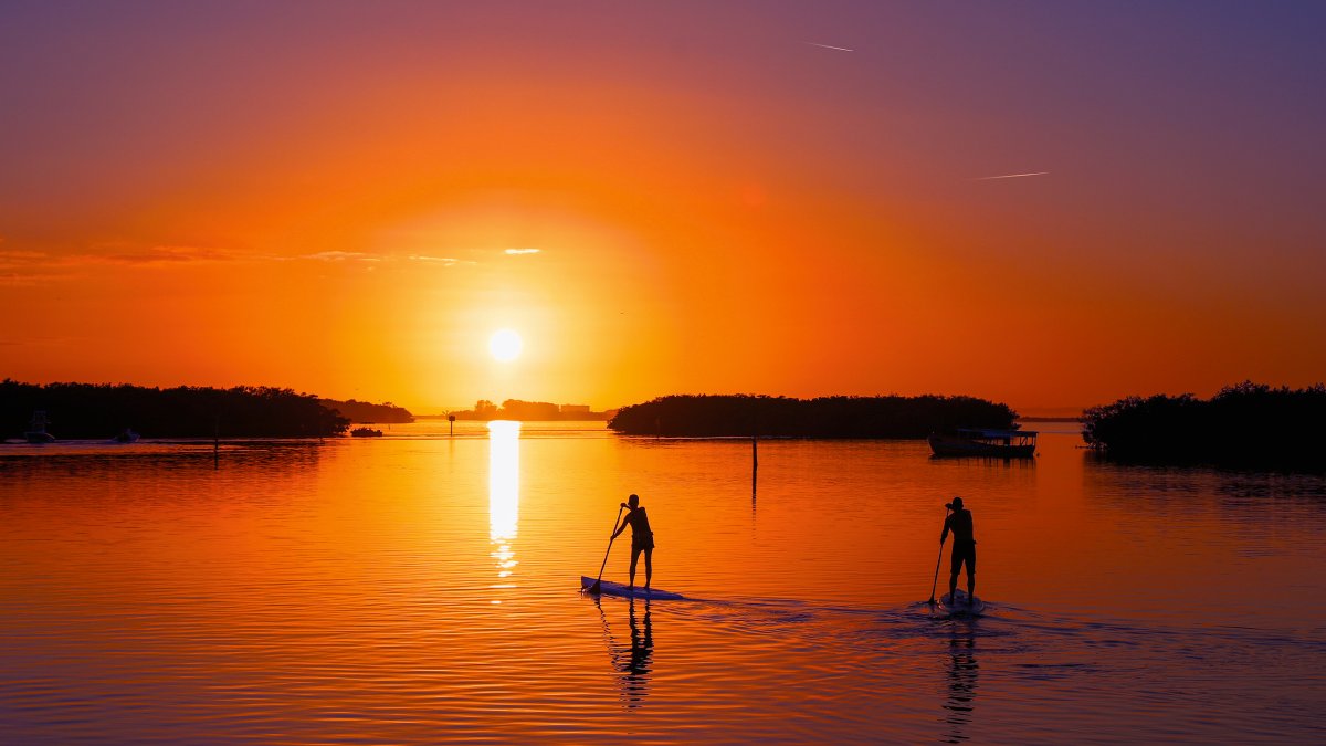 Two people paddleboard in the quiet backwaters of Sutherland Bayou in Palm Harbor; the sunset is a brilliant orange and small mangrove islands are in front of the people
