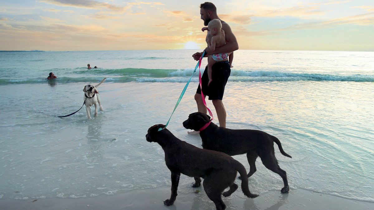 A man and his two dogs greet another dog at Honeymoon Island