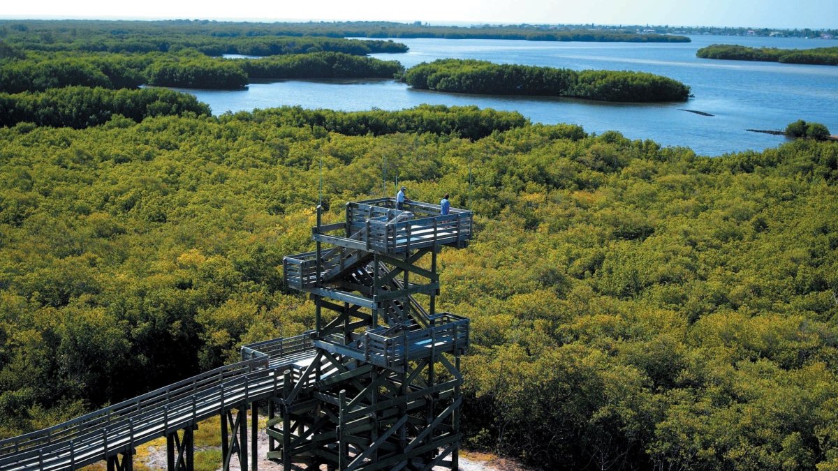 A wide angle shot of the overlook tower at Weedon Island