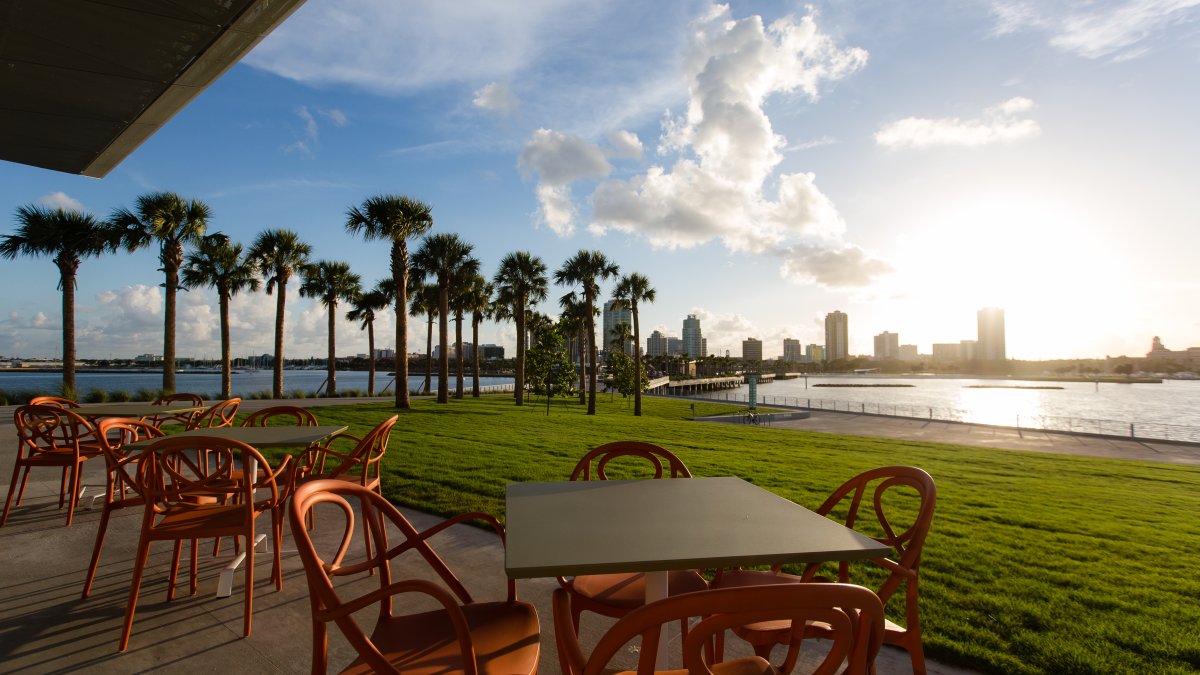 A view from outdoor tables and chairs at the Driftwood Cafe. A grass field, palm trees and St. Pete skyline is seen