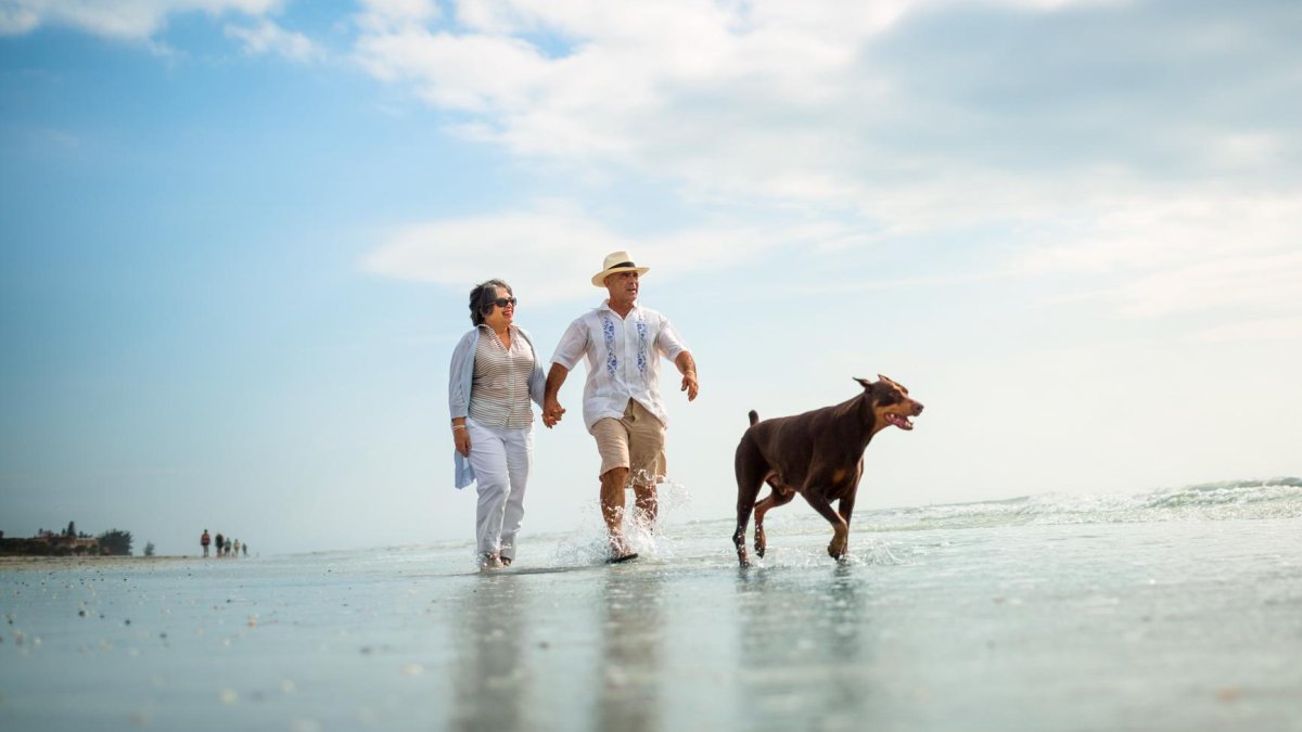 Um casal caminhando pela praia em águas rasas com um cachorro grande.