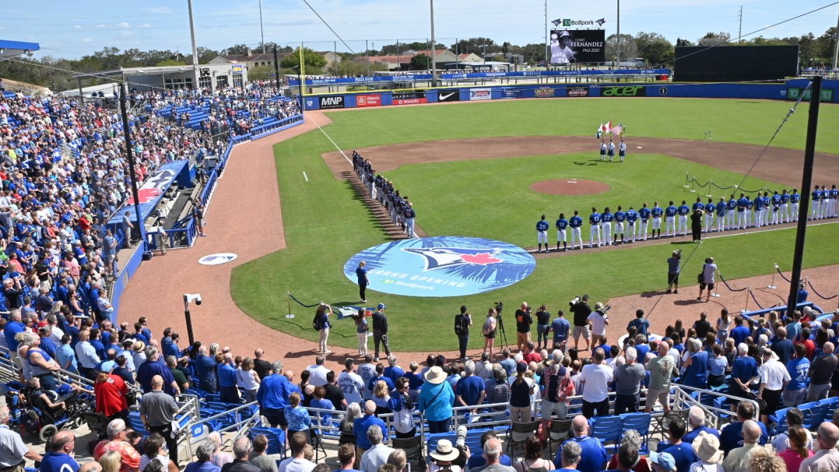 Blue jays Training field infield view of the baseball field and crowed with two teams lining the bases