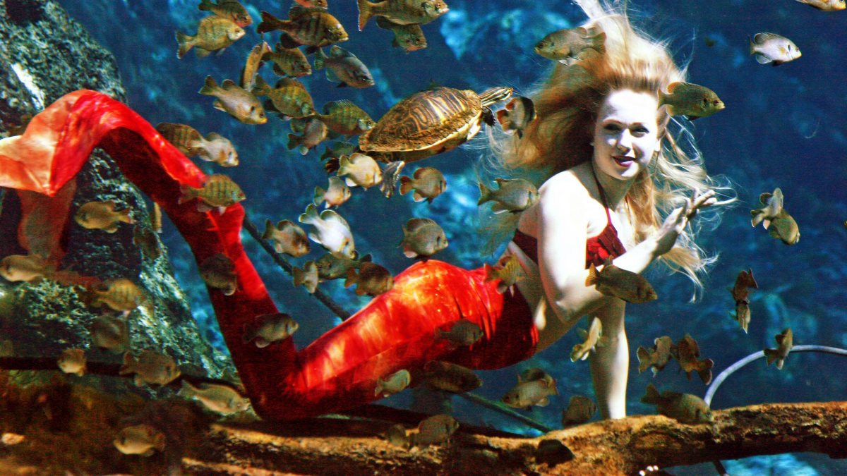 A mermaid strikes a pose in the Weeki Wachee River near St. Pete/Clearwater