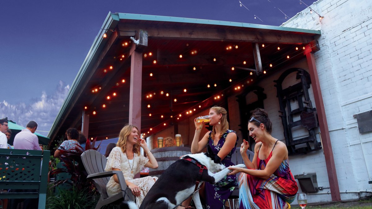 Ladies enjoying drinks with their dog seating in the lawn outside of Green Bench Brewery.