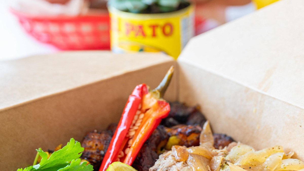 a tight shot of food from Bodega