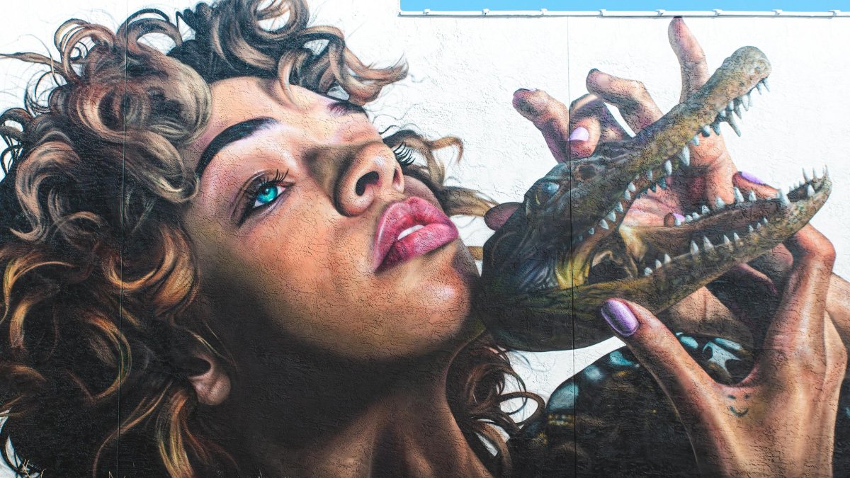 The "Mask Off" mural by Drew Merritt in St. Pete depicts the head of a beautiful Black woman with curly hair and blue eyes holding a small alligator in front of her