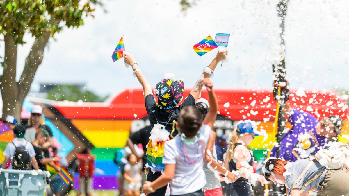 Pride Fest We Are Family