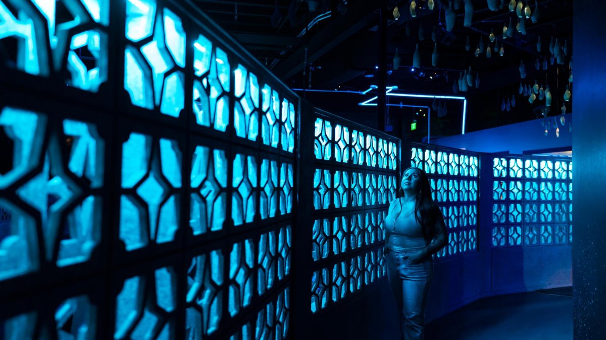 a young woman explores one of the exhibits at Fairgrounds St. Pete, standing in blue light next to a decorative wall