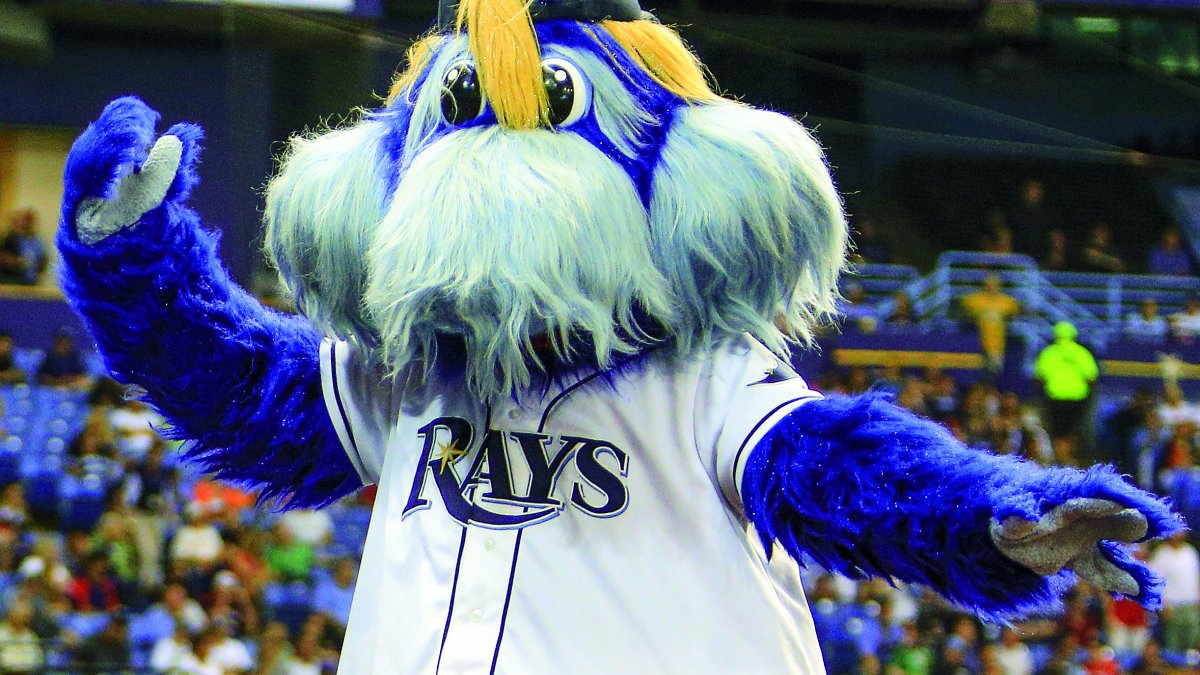 cat tampa bay rays mascot