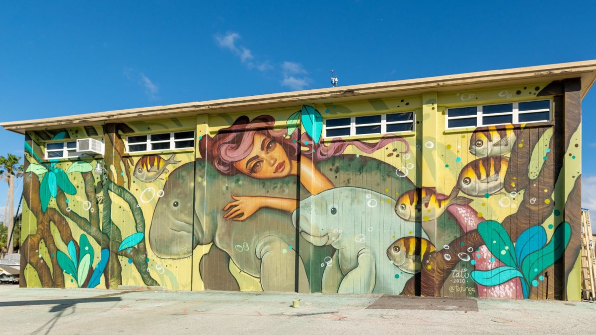 Image of huge outside mural in St. Pete FL shows a female with purple hair swimming with manatees featuring a yellow background.