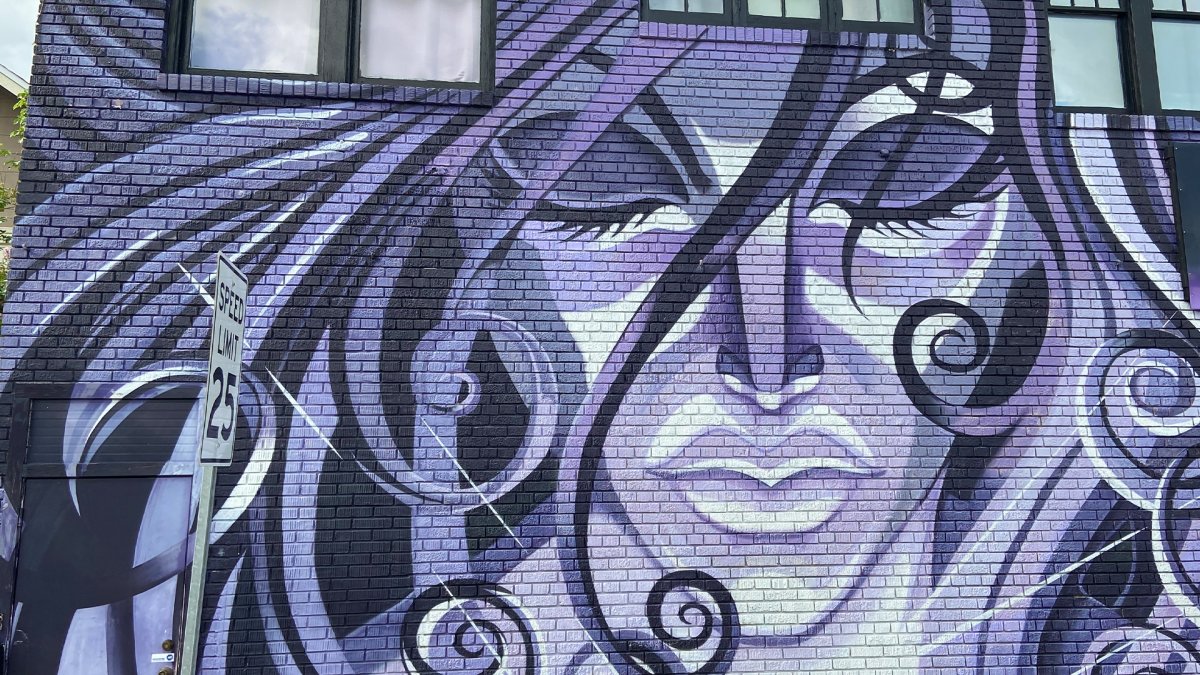 Outside wall mural in the MLK north district in St. Pete, FL featuring a purple lady's face painting with curly hair. Her eyes are closed and her face takes up the entire outside brick wall.