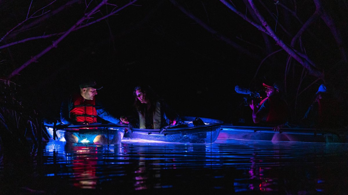 two people in clear kayaks lit up by LED lights at night at Shell Key Preserve