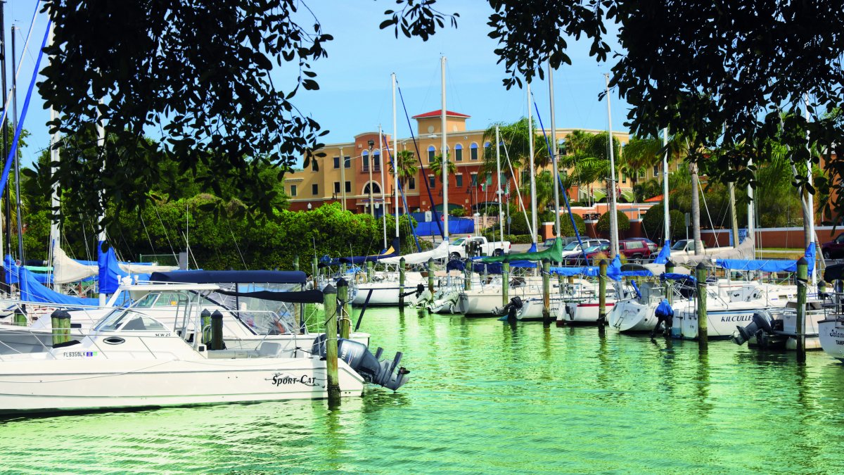 A view of the boats docked in Safety Harbor Marina.