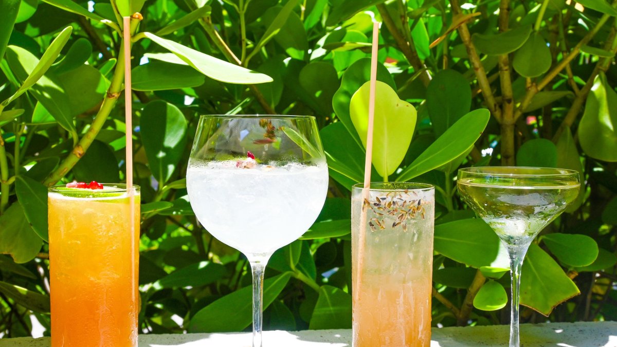 Four cocktails lined up in front of a green tree