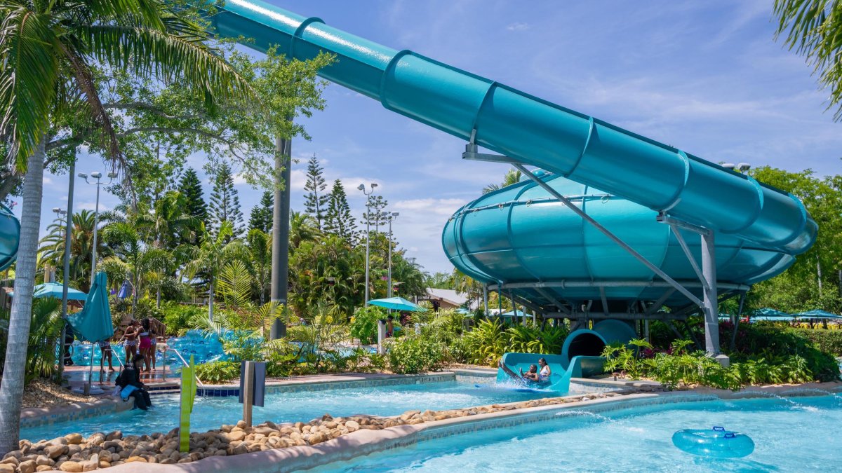 blue water slide declining down into a large bowl into blue waters of pool below surrounding by green palm trees at Aquatic water park in Orlando.