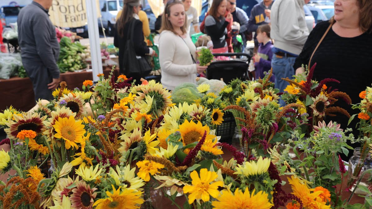 Fresh flowers on display