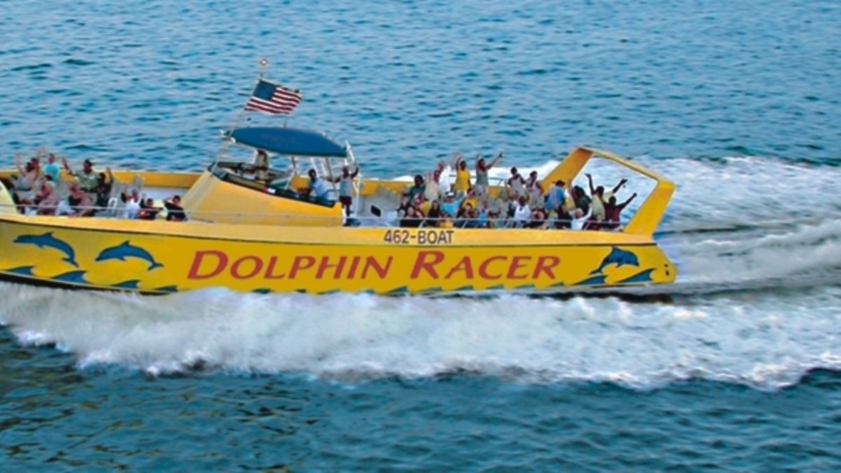 Dolphin Racer