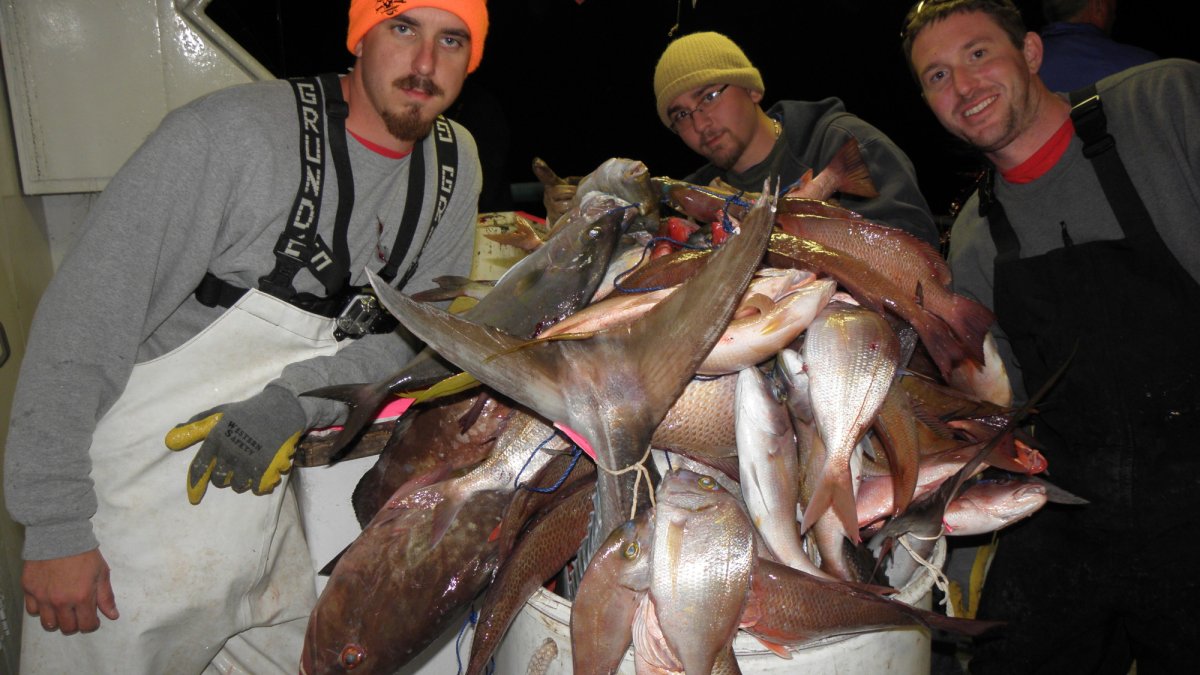 Huge barrel of fish caught on a 39-hour charter.