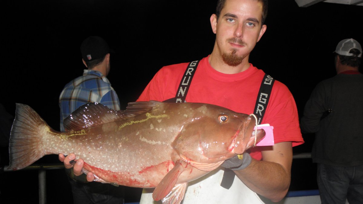 2nd Mate Kyle Gallagher with a fat red grouper